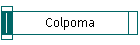 Colpoma