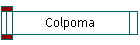 Colpoma