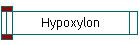 Hypoxylon