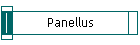 Panellus