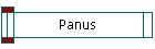 Panus