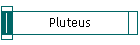 Pluteus