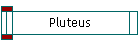 Pluteus