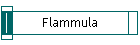 Flammula