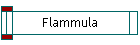 Flammula