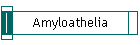 Amyloathelia