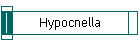 Hypocnella