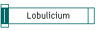 Lobulicium