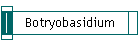 Botryobasidium