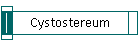 Cystostereum