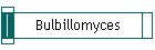 Bulbillomyces