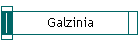 Galzinia