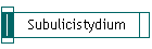 Subulicistydium