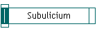 Subulicium