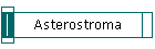 Asterostroma