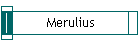 Merulius