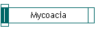 Mycoacia