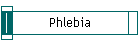 Phlebia