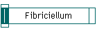 Fibriciellum