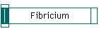 Fibricium