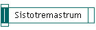 Sistotremastrum