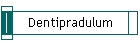 Dentipradulum