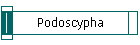 Podoscypha