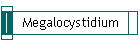 Megalocystidium