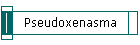 Pseudoxenasma