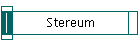 Stereum