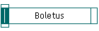 Boletus