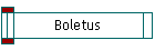 Boletus