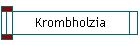 Krombholzia