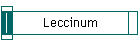 Leccinum