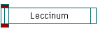 Leccinum