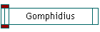 Gomphidius