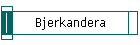 Bjerkandera