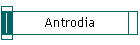 Antrodia