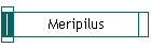 Meripilus