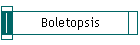 Boletopsis