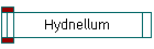 Hydnellum